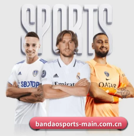 五大服务分区,信息按项目分类 - BandaoAPP